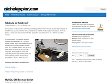 Tablet Screenshot of nicholaspier.com